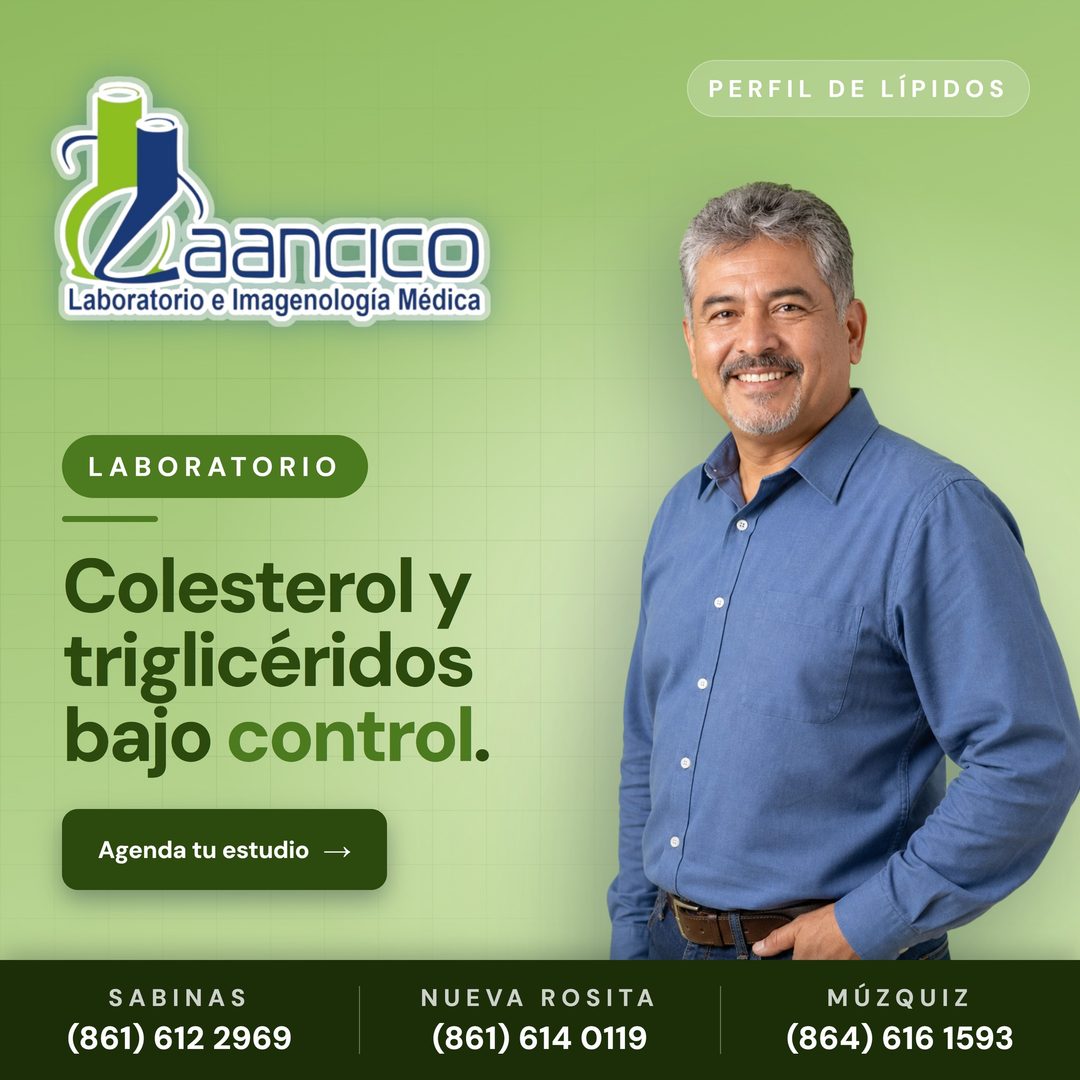 Perfil de lípidos: colesterol y triglicéridos en números.